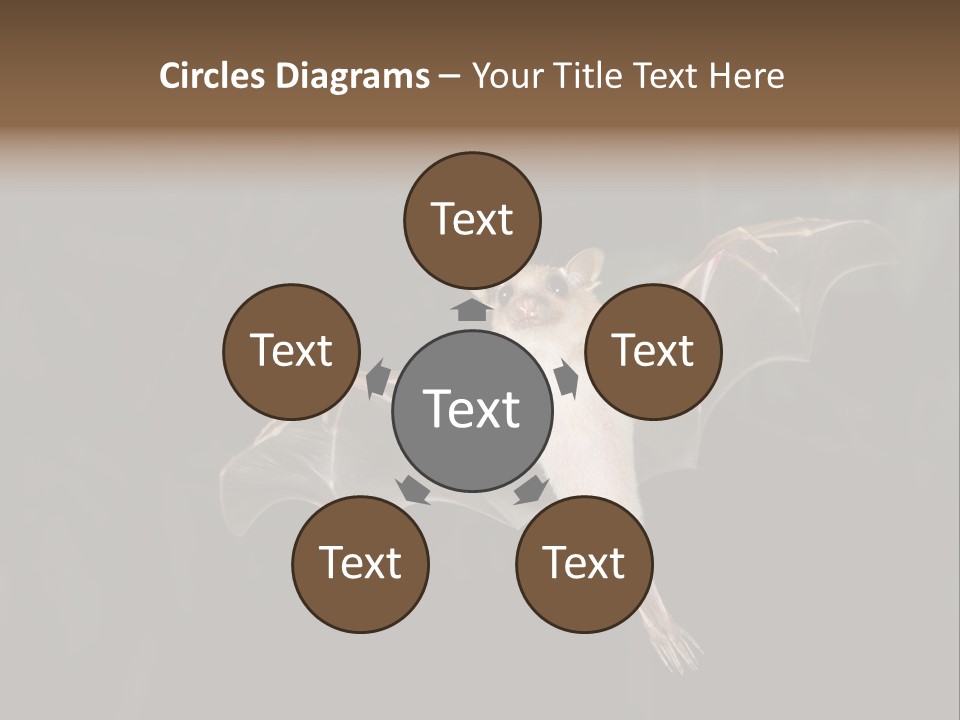 Bat Tropical Mammal PowerPoint Template