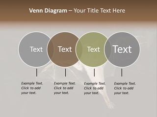 Bat Tropical Mammal PowerPoint Template