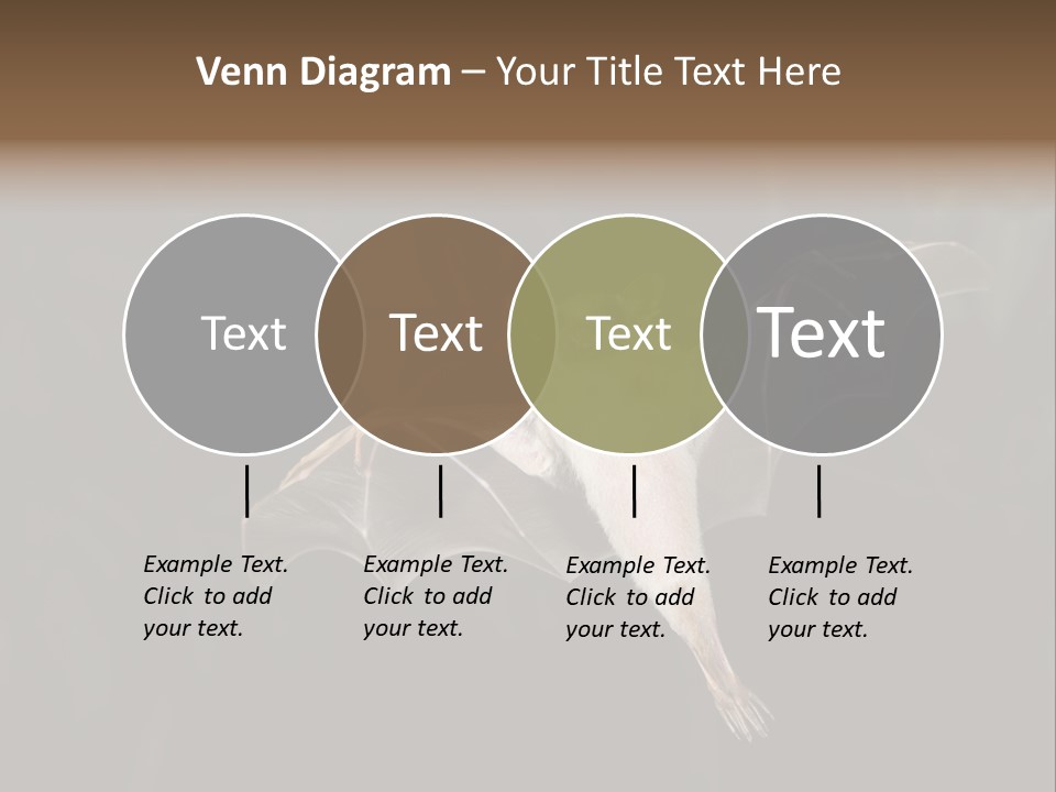 Bat Tropical Mammal PowerPoint Template