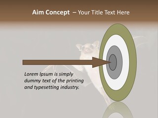 Bat Tropical Mammal PowerPoint Template