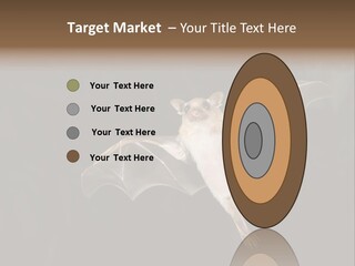 Bat Tropical Mammal PowerPoint Template