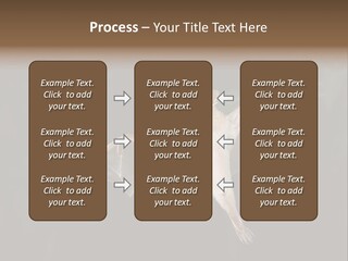 Bat Tropical Mammal PowerPoint Template
