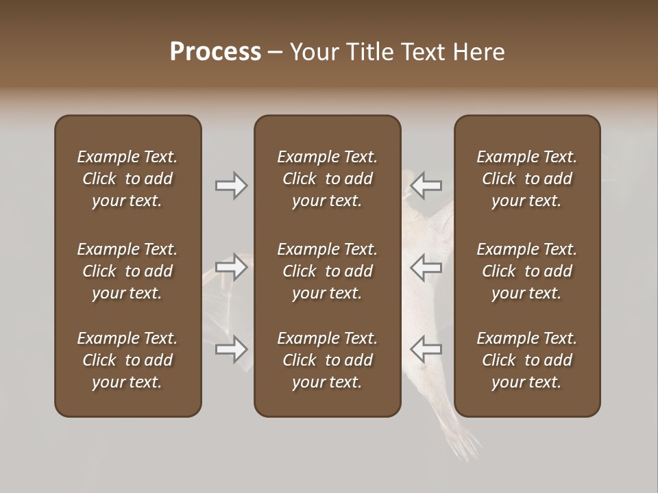 Bat Tropical Mammal PowerPoint Template