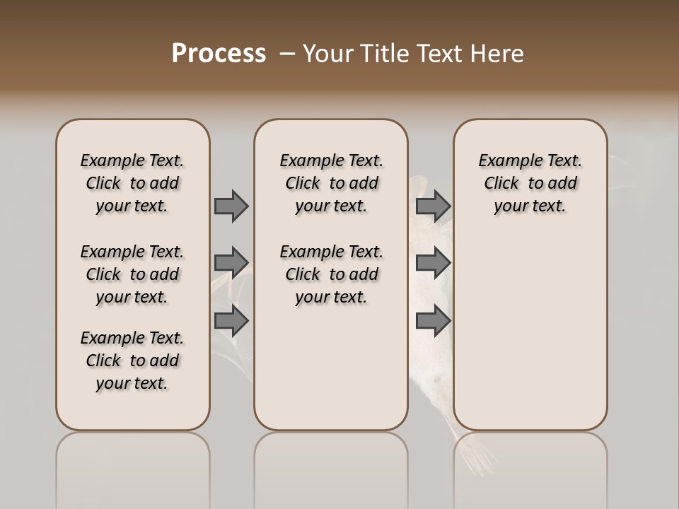 Bat Tropical Mammal PowerPoint Template