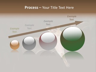 Bat Tropical Mammal PowerPoint Template