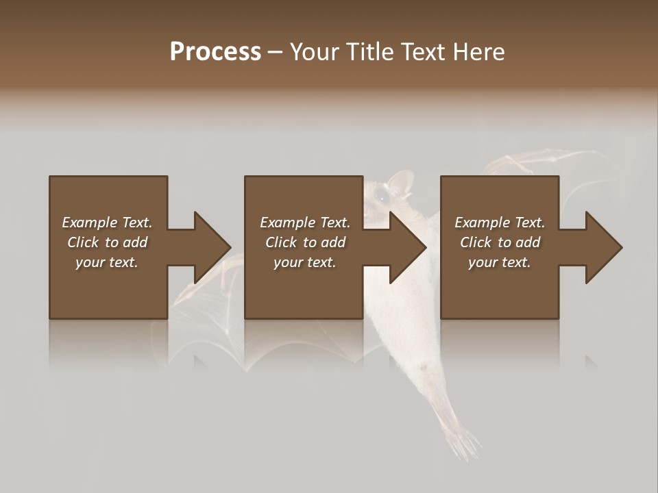 Bat Tropical Mammal PowerPoint Template