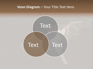 Bat Tropical Mammal PowerPoint Template