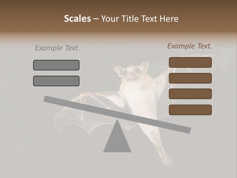 Bat Tropical Mammal PowerPoint Template