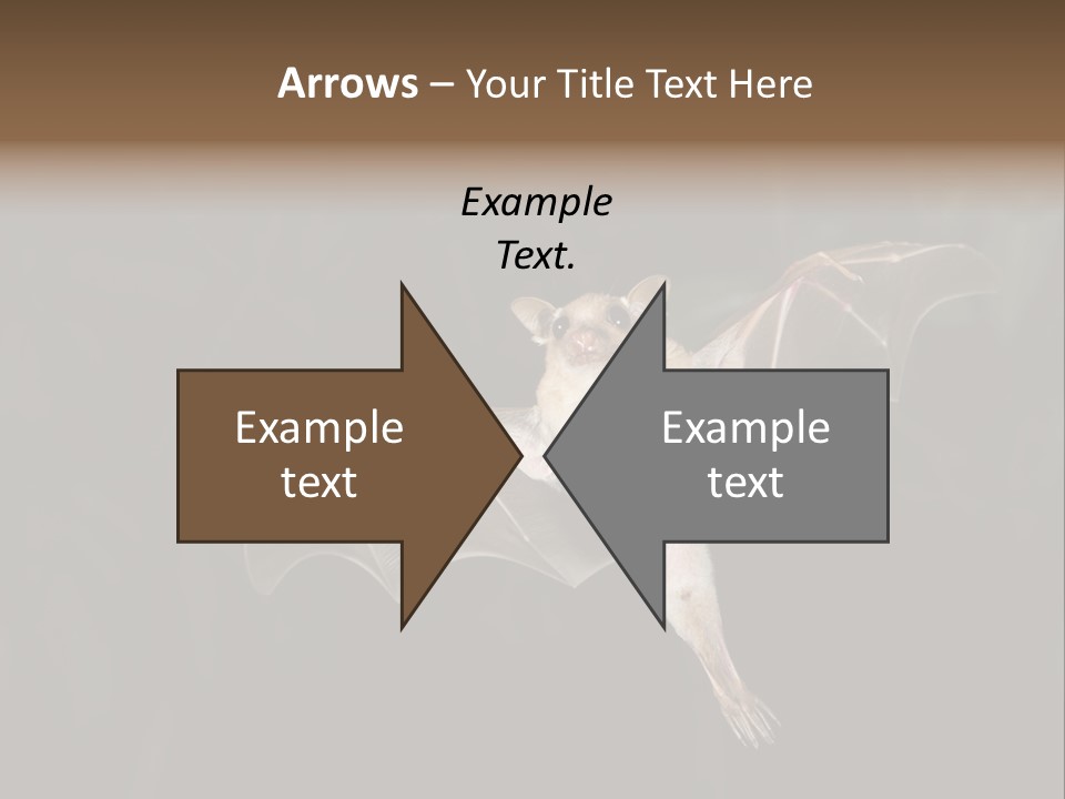 Bat Tropical Mammal PowerPoint Template
