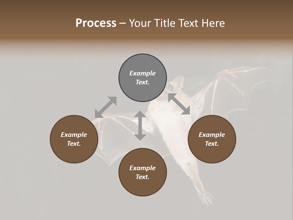 Bat Tropical Mammal PowerPoint Template