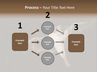 Bat Tropical Mammal PowerPoint Template