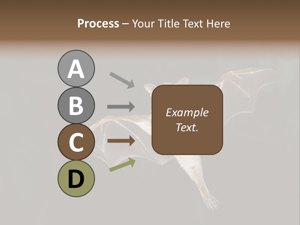Bat Tropical Mammal PowerPoint Template