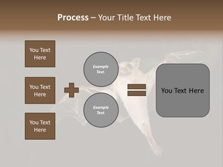 Bat Tropical Mammal PowerPoint Template