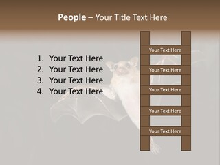Bat Tropical Mammal PowerPoint Template