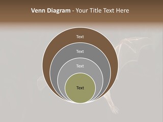 Bat Tropical Mammal PowerPoint Template