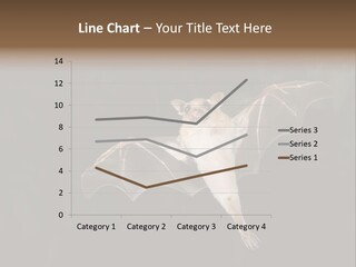 Bat Tropical Mammal PowerPoint Template