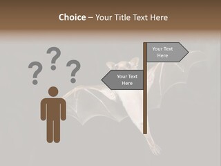 Bat Tropical Mammal PowerPoint Template