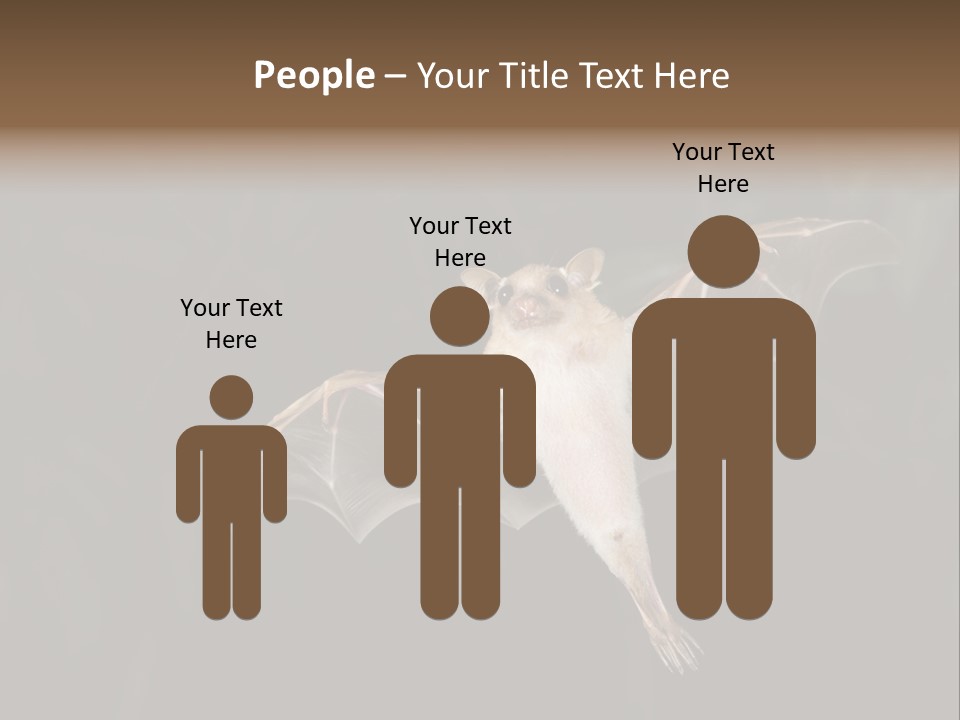 Bat Tropical Mammal PowerPoint Template