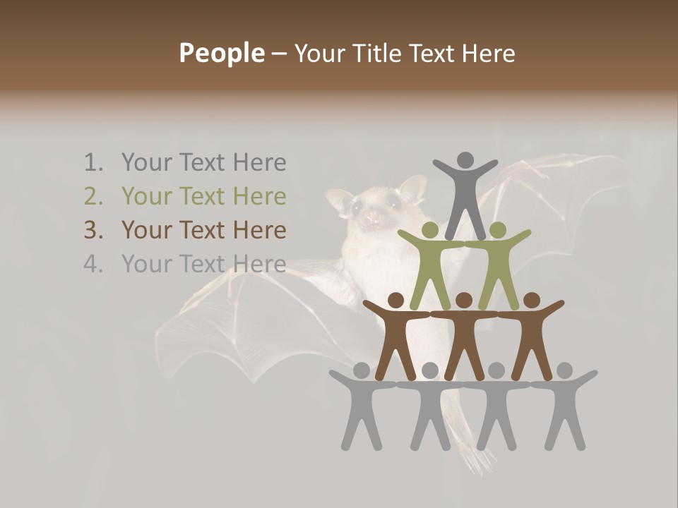 Bat Tropical Mammal PowerPoint Template