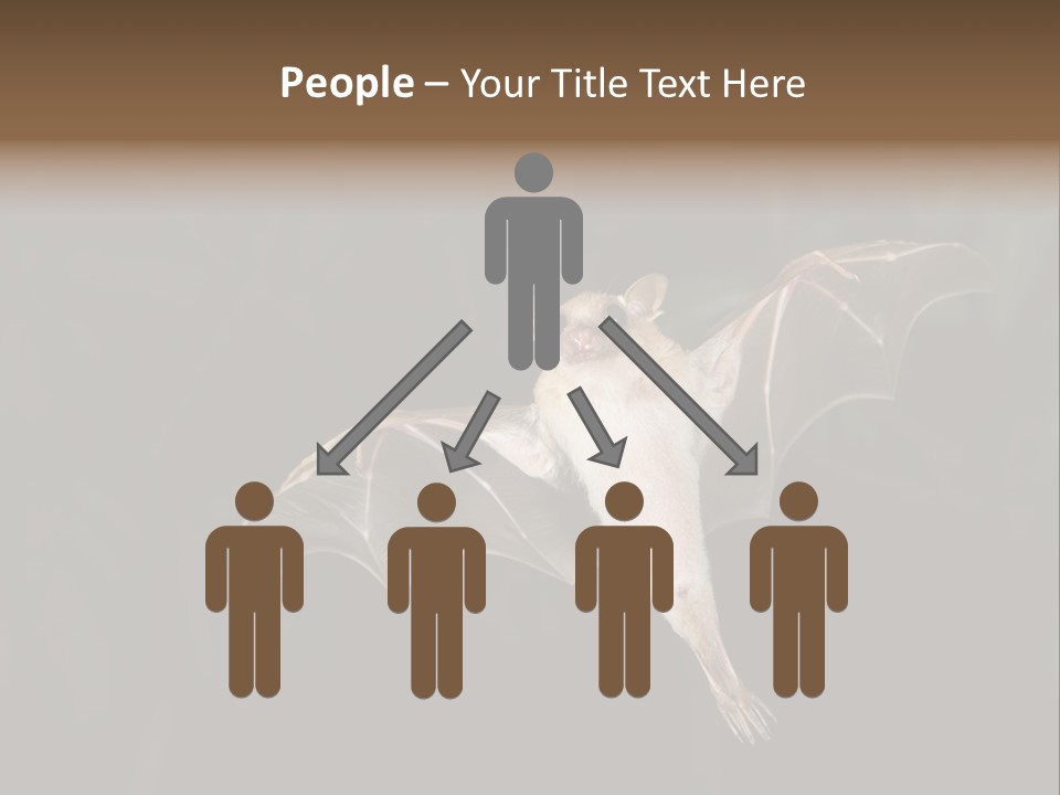 Bat Tropical Mammal PowerPoint Template