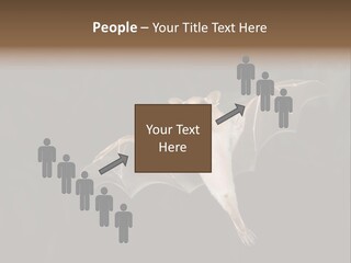 Bat Tropical Mammal PowerPoint Template