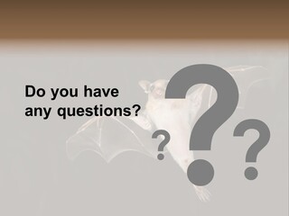 Bat Tropical Mammal PowerPoint Template