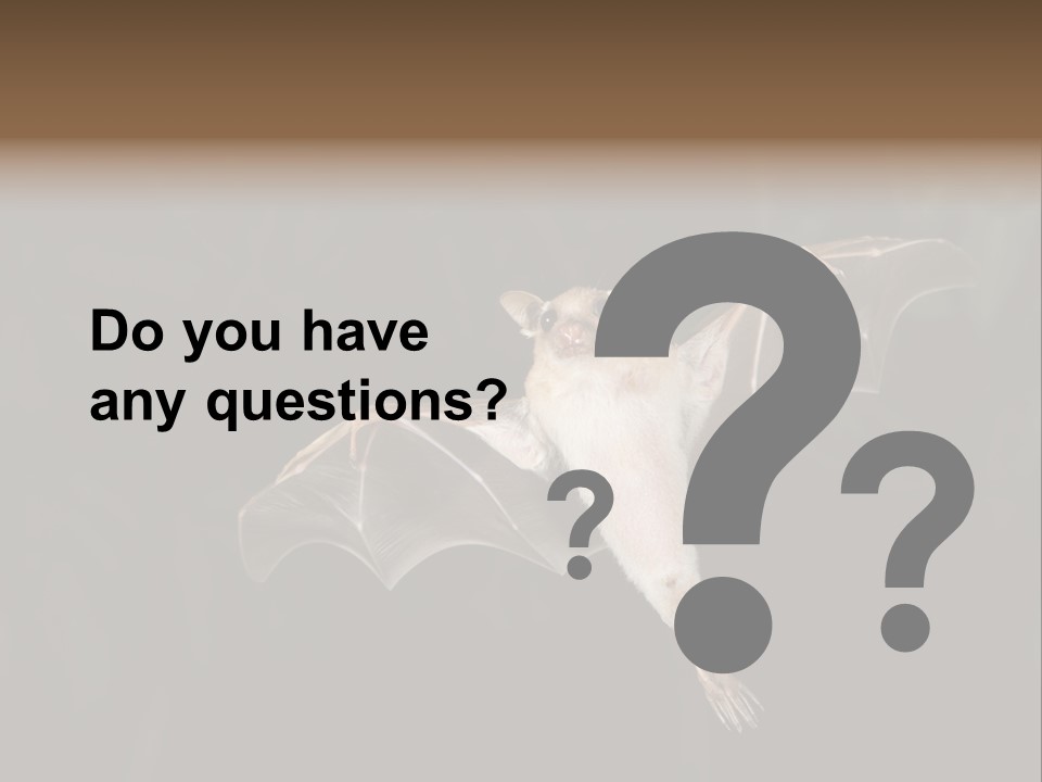 Bat Tropical Mammal PowerPoint Template