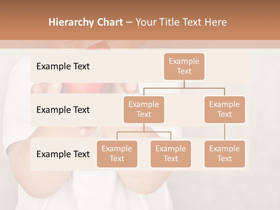 Cute Present New PowerPoint Template