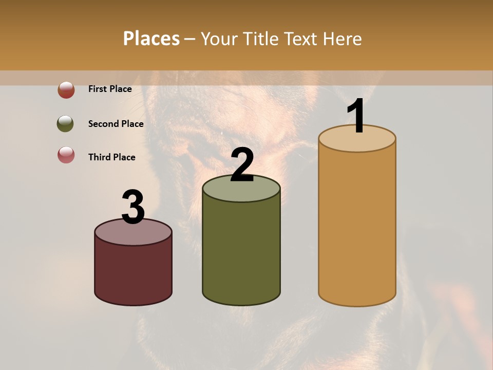 Friendly Attack Portrait PowerPoint Template
