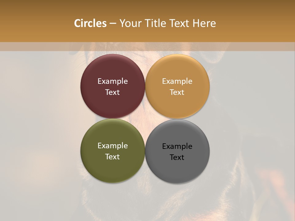 Friendly Attack Portrait PowerPoint Template