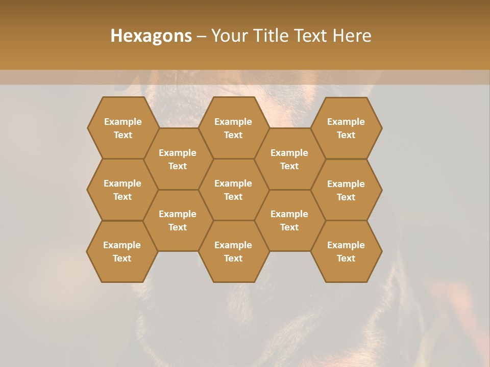 Friendly Attack Portrait PowerPoint Template