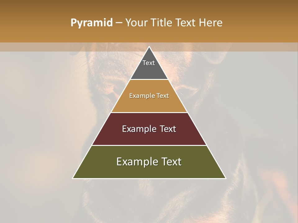 Friendly Attack Portrait PowerPoint Template