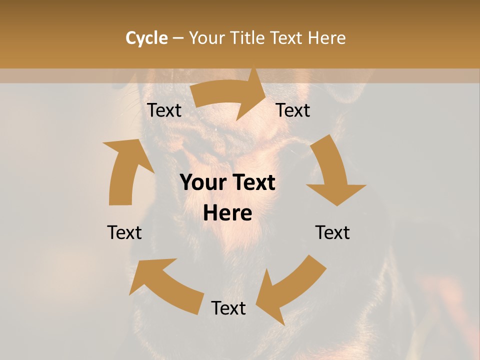Friendly Attack Portrait PowerPoint Template