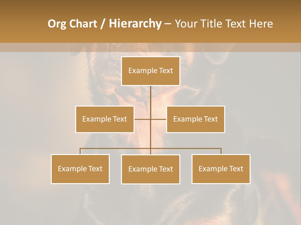 Friendly Attack Portrait PowerPoint Template