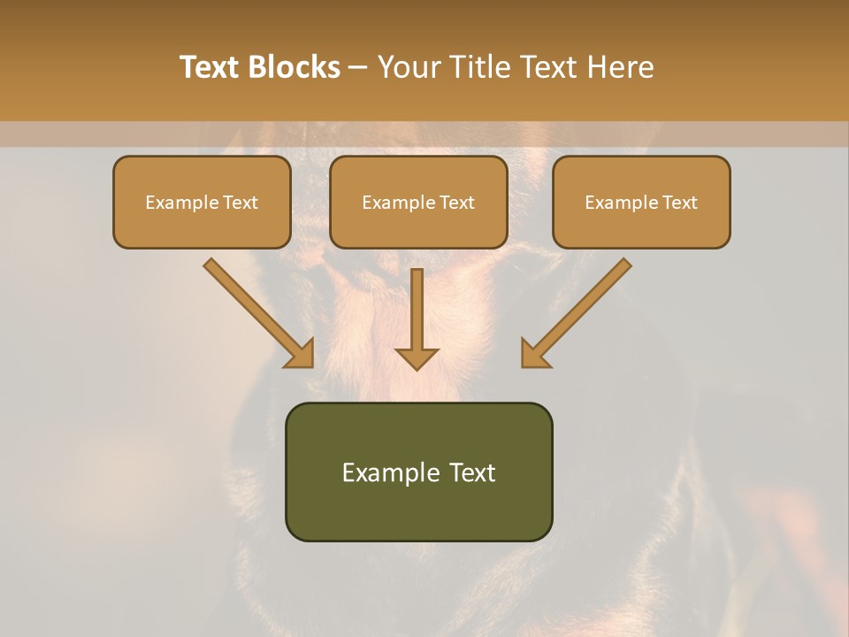 Friendly Attack Portrait PowerPoint Template