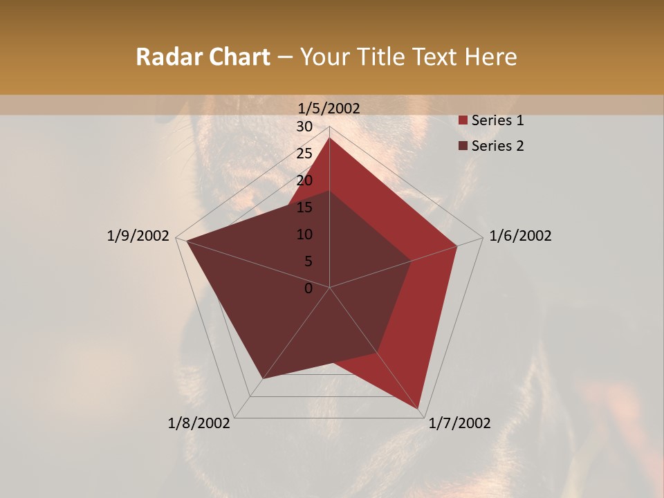 Friendly Attack Portrait PowerPoint Template
