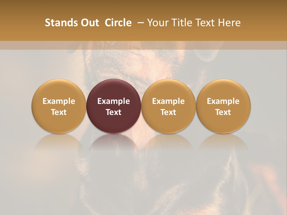 Friendly Attack Portrait PowerPoint Template