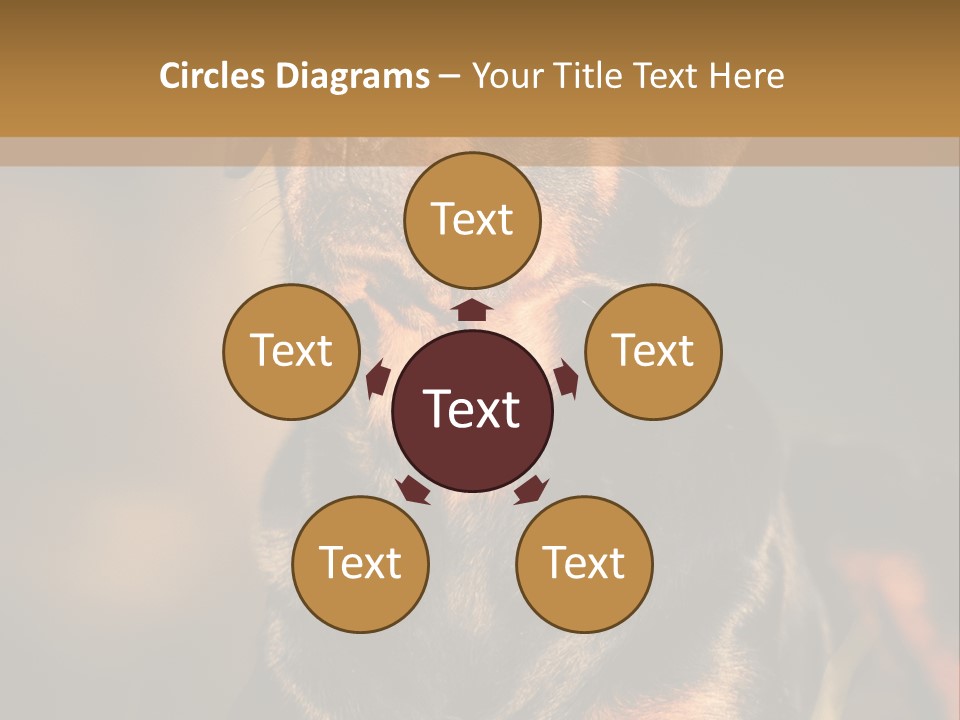 Friendly Attack Portrait PowerPoint Template