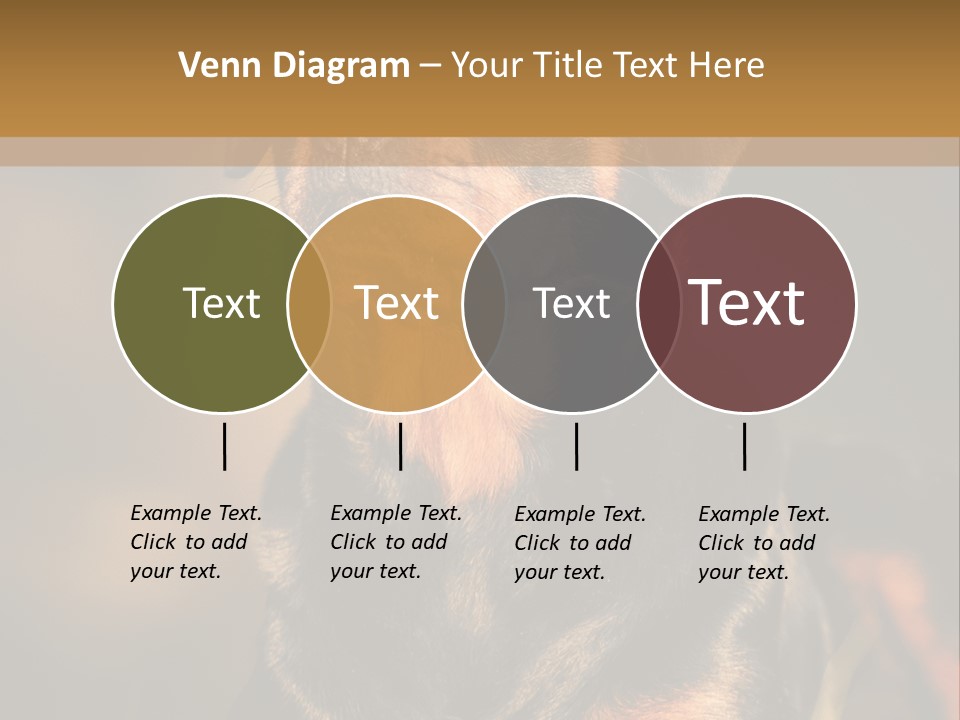Friendly Attack Portrait PowerPoint Template
