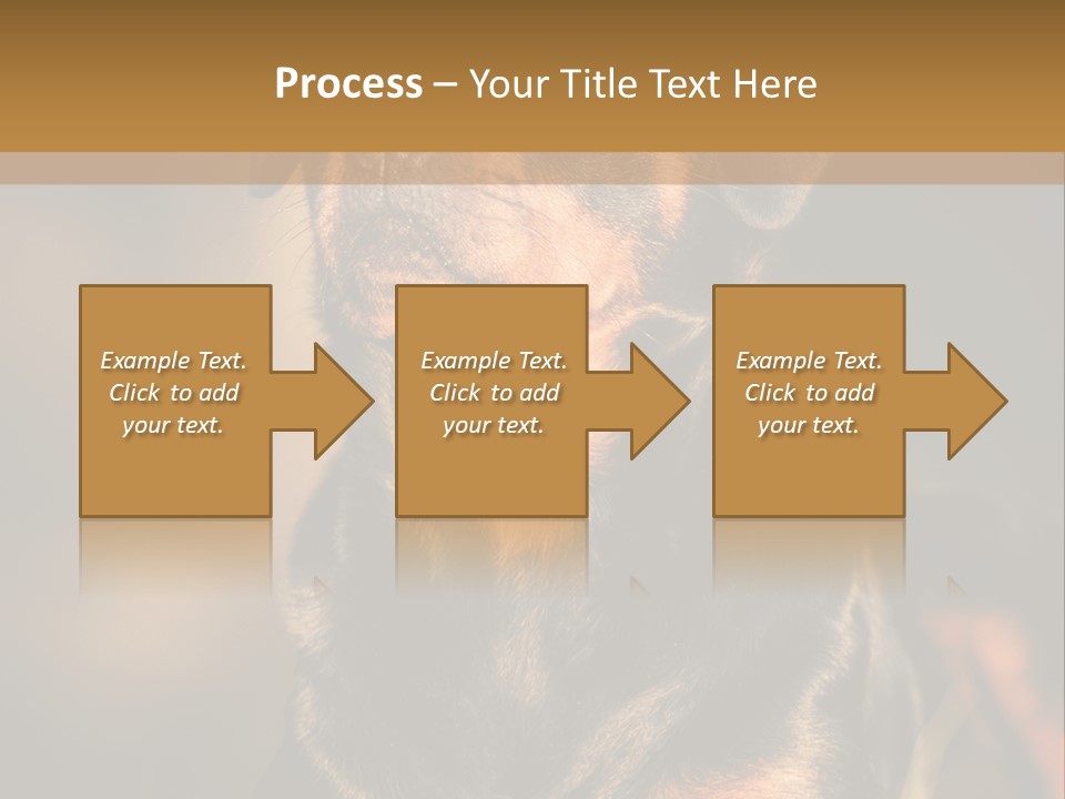 Friendly Attack Portrait PowerPoint Template