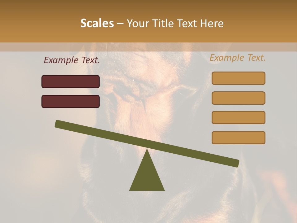 Friendly Attack Portrait PowerPoint Template
