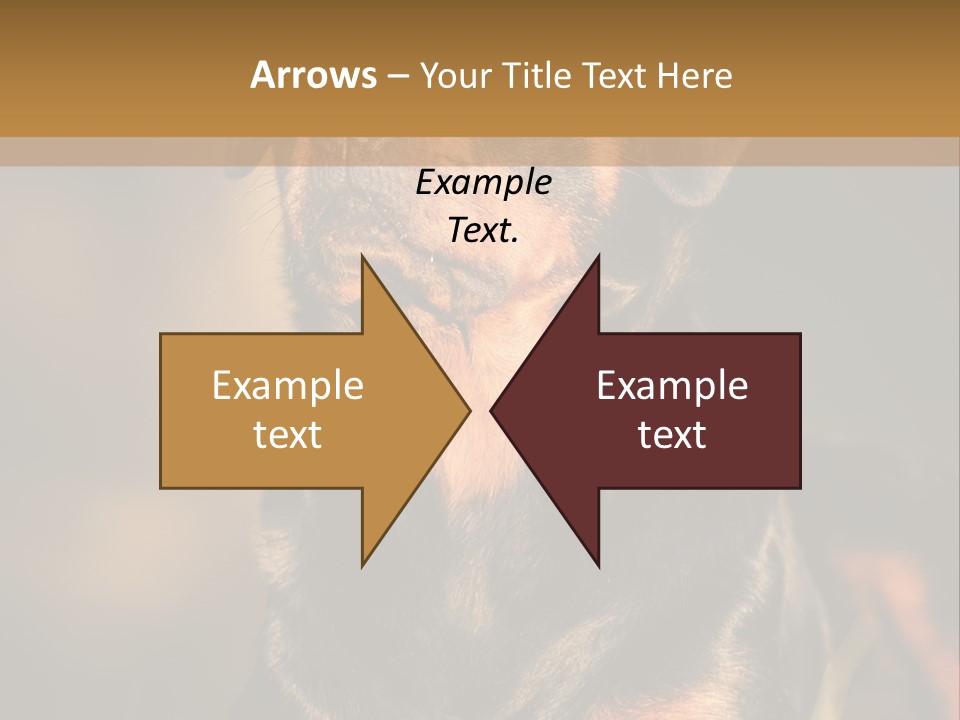 Friendly Attack Portrait PowerPoint Template