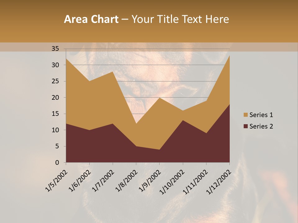 Friendly Attack Portrait PowerPoint Template