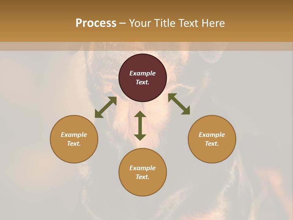 Friendly Attack Portrait PowerPoint Template