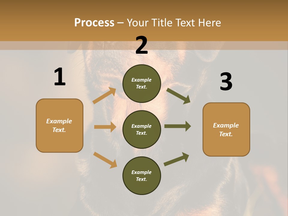 Friendly Attack Portrait PowerPoint Template