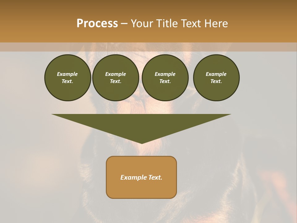 Friendly Attack Portrait PowerPoint Template