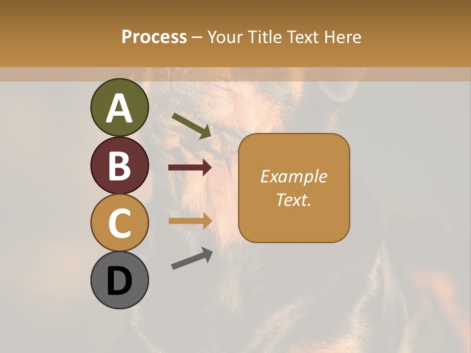Friendly Attack Portrait PowerPoint Template