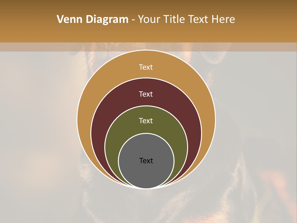 Friendly Attack Portrait PowerPoint Template