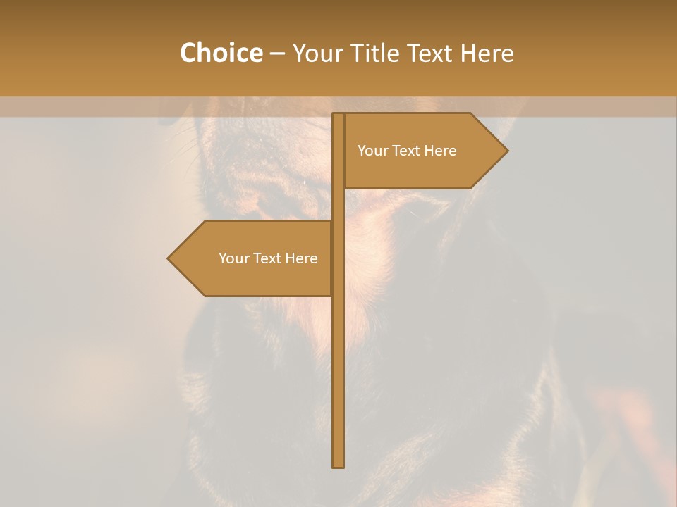 Friendly Attack Portrait PowerPoint Template