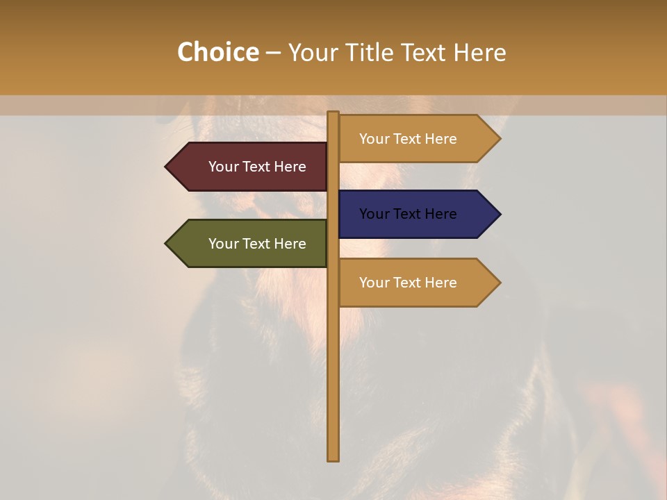 Friendly Attack Portrait PowerPoint Template